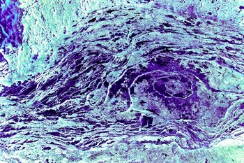 AP 38A1